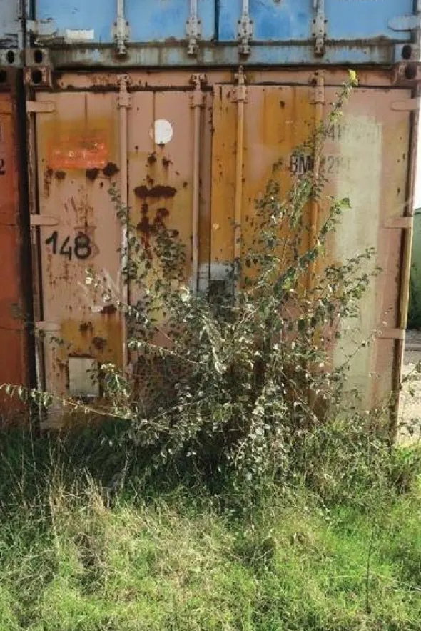 148#4390 Container