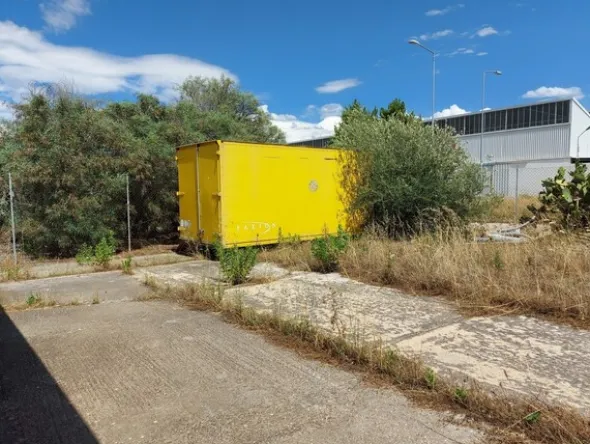 24#5521 Container