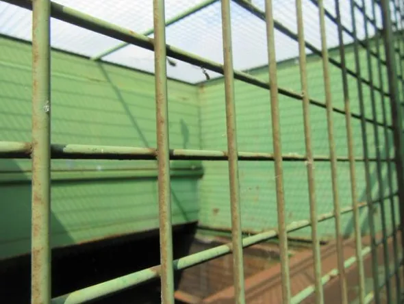 2192#3561 Container con coperchio BTE