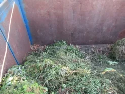 2114#3561 Container con coperchio BTE