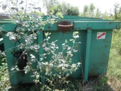 2075#3561 Container Longo con coperchio