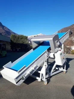 Conveyor with metal detector
