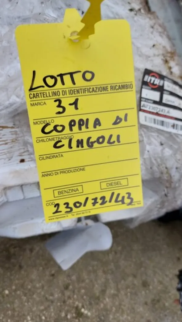 31#8048 Coppia di cingoli