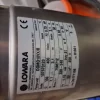 Coppia Pompe Sommergibili Lowara DOMO 10VX/B -Inox