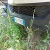 8#6803 Costipatore vasca 8mc Daily