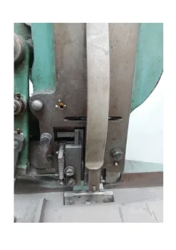 cucitrice bizozzero