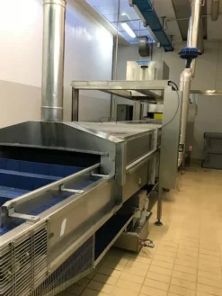 1#7392 Cuocitore per pesce Tecnoceam