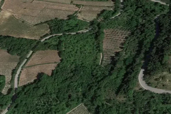 #20849 Diritto del livellario su terreno agricolo di 8920 mq