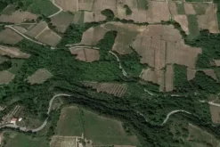 #20849 Diritto del livellario su terreno agricolo di 8920 mq