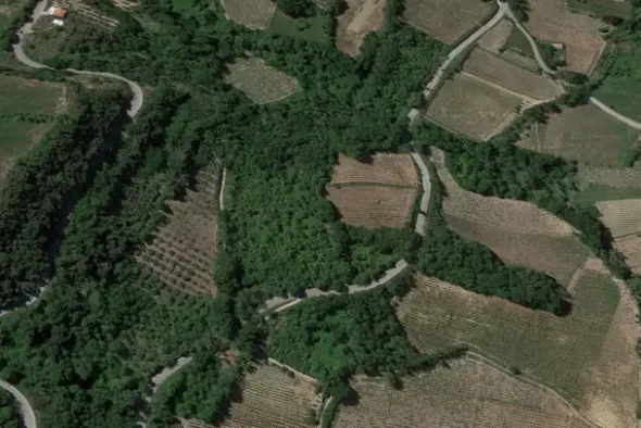 #20849 Diritto del livellario su terreno agricolo di 8920 mq