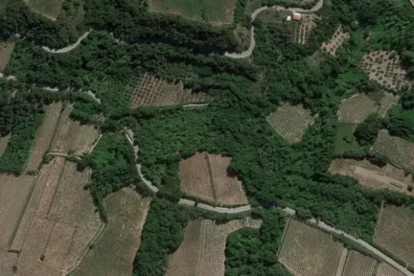 #20849 Diritto del livellario su terreno agricolo di 8920 mq