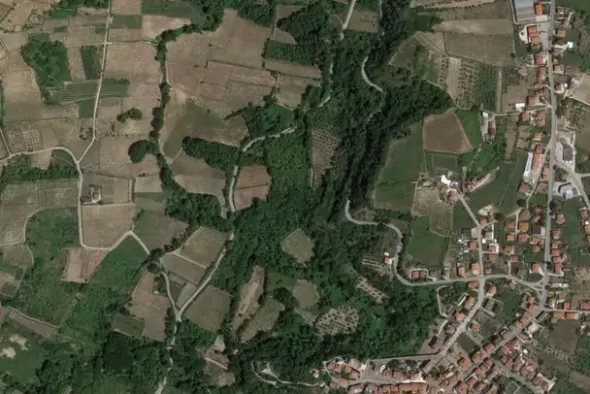 #20849 Diritto del livellario su terreno agricolo di 8920 mq