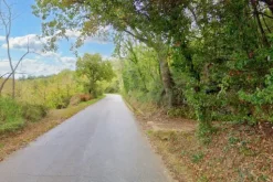 #20849 Diritto del livellario su terreno agricolo di 8920 mq