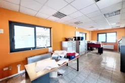 #24212 Due opifici industriali con impianto fotovoltaico