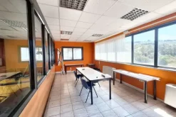 #24212 Due opifici industriali con impianto fotovoltaico