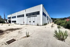 #24212 Due opifici industriali con impianto fotovoltaico