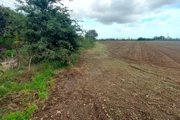 #24735 Due terreni agricoli e frustolo commerciale