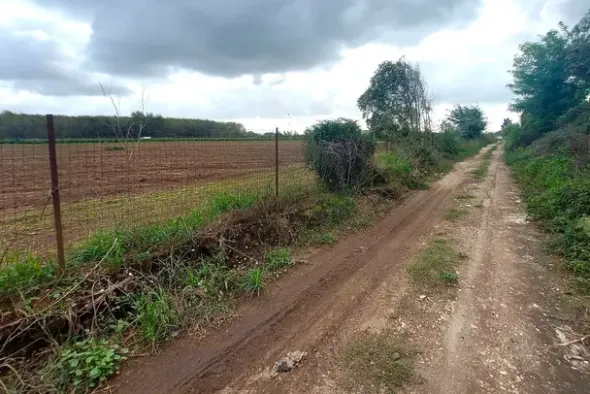 #24735 Due terreni agricoli e frustolo commerciale