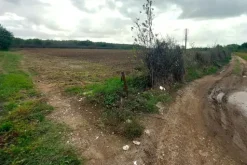 #24735 Due terreni agricoli e frustolo commerciale