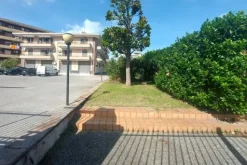 #24735 Due terreni agricoli e frustolo commerciale