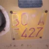 50#2941 Dumper Fiori Rodi