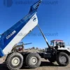 1#9890 Dumper Newton HT305