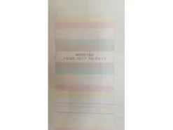 DURST RHOPAC 160 - 30 Pl - CMYK - White Under e Over