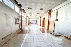 #2537573 Edificio artigianale con alloggi e cortili privati