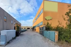 #19982 Edificio artigianale con cortile e celle frigorifere