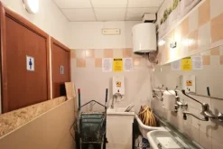 #2639141 Edificio artigianale con negozio e terreno