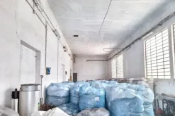 #2537584 Edificio artigianale con uffici e pertinenze