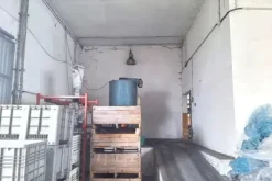 #2537584 Edificio artigianale con uffici e pertinenze