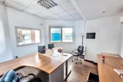 #2522004 Edificio artigianale con uffici e area edificabile
