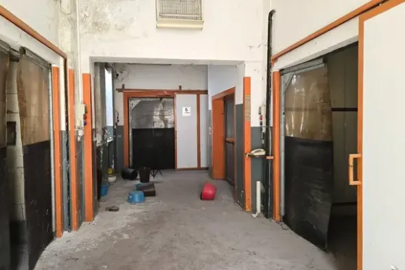 #2640068 Edificio artigianale parte dismesso
