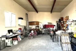 #25778 Enfiteusi su appezzamento agricolo