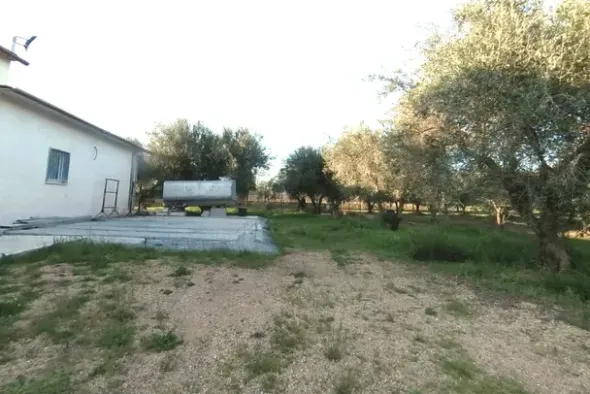 #25778 Enfiteusi su appezzamento agricolo