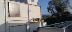 Essiccatore a nastro per segatura