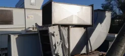 Essiccatore a nastro per segatura