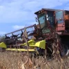 "Ettaro" testata per la raccolta di soia