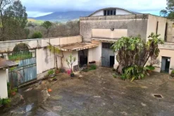 #22893 Ex complesso enologico con terreno agricolo
