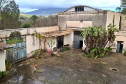 #22893 Ex complesso enologico con terreno agricolo