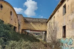 #15537 Ex complesso industriale di 33.750 mq