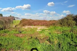 #21809 Ex depuratore con annessa area