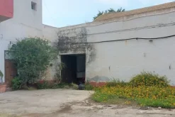 #2519006 Ex stabilimento produttivo enologico