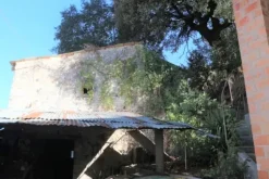 #11096 Fabbricati ad uso magazzino e quote di terreni agricoli