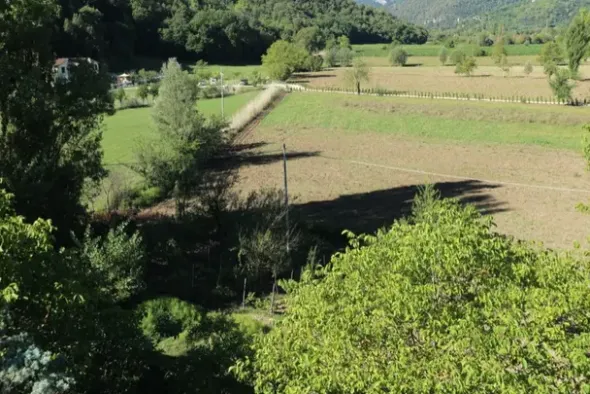 #11096 Fabbricati ad uso magazzino e quote di terreni agricoli