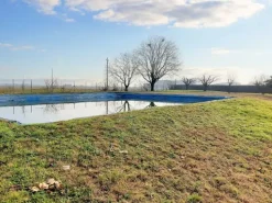 #22877 Fabbricato industriale-artigianale con area di pertinenza