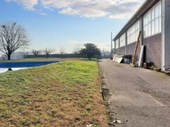 #22877 Fabbricato industriale-artigianale con area di pertinenza