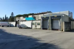 #12973 Fabbricato industriale con piazzale
