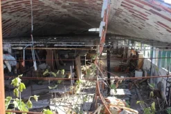 #15090 Fabbricato industriale con resede circostante